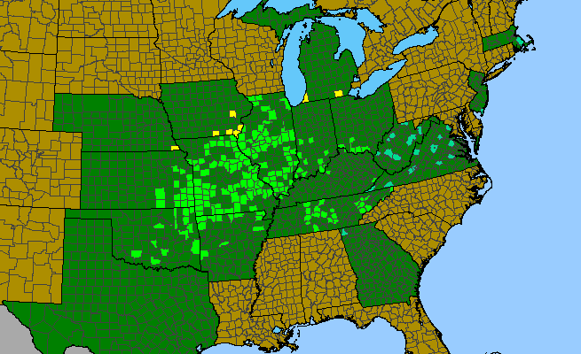 The range of Prunus hortulana